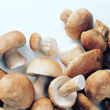 Porcini Mushroom 100g/pack